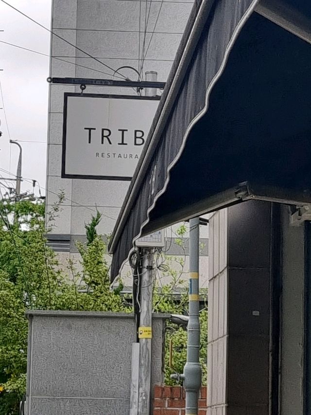 대구 분위기 좋은 봉산동 맛집 "트라이브 레스토랑"