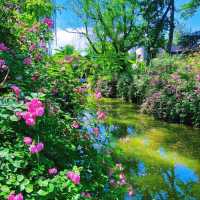 英彥山花園：山巒櫻景，山野莊園之旖旎風光