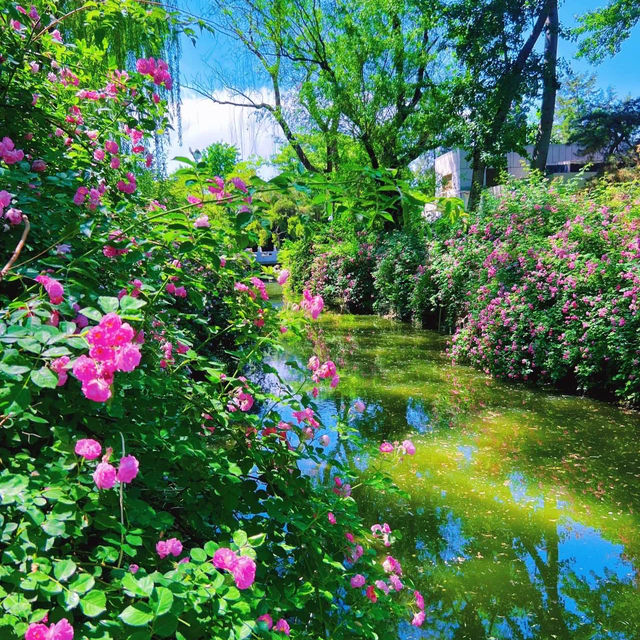 英彥山花園：山巒櫻景，山野莊園之旖旎風光