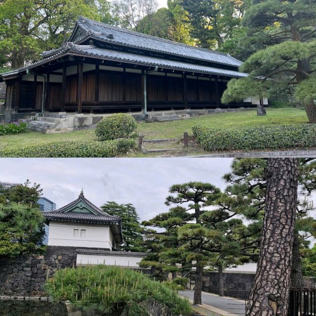 【東京】皇居外苑：寧靜自然環境，適合休閒散步