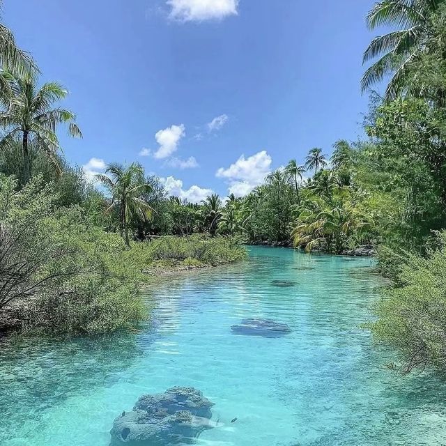 Bora Bora