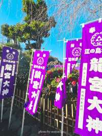 【神奈川/江ノ島】辰年に行きたい江島神社 龍宮