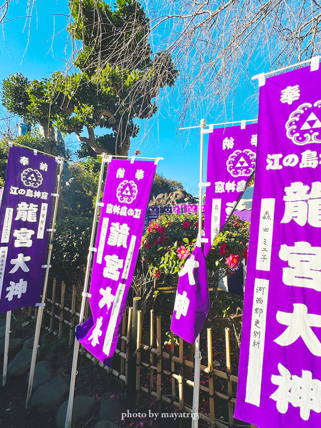 【神奈川/江ノ島】辰年に行きたい江島神社 龍宮