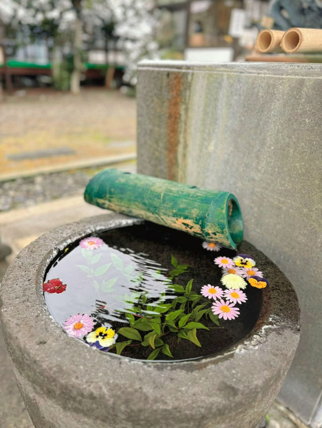 【栃木】猫好きは絶対に行ってほしい🐈かわいい御朱印のある神社
