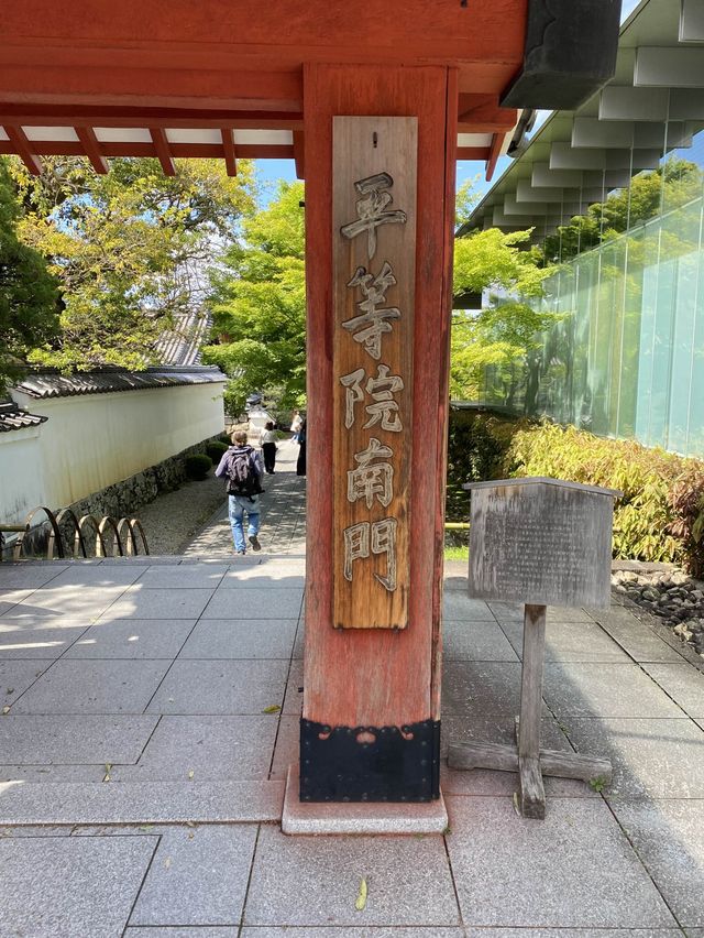 【京都】南門からの平等院