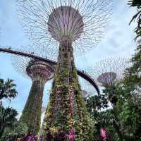 外星人基地： Gardens By the Bay 