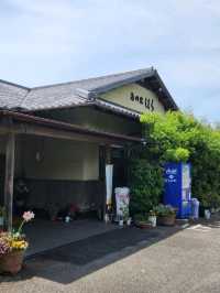 【山口グルメ】新鮮なお魚料理🐟