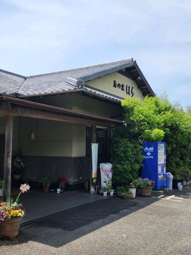 【山口グルメ】新鮮なお魚料理🐟