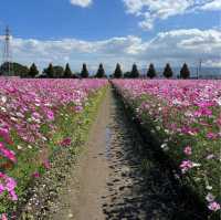 【福岡観光】お気に入りのスポット