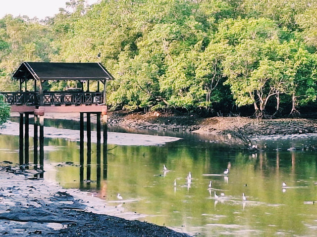 Sungei Buloh Wetland Reserve