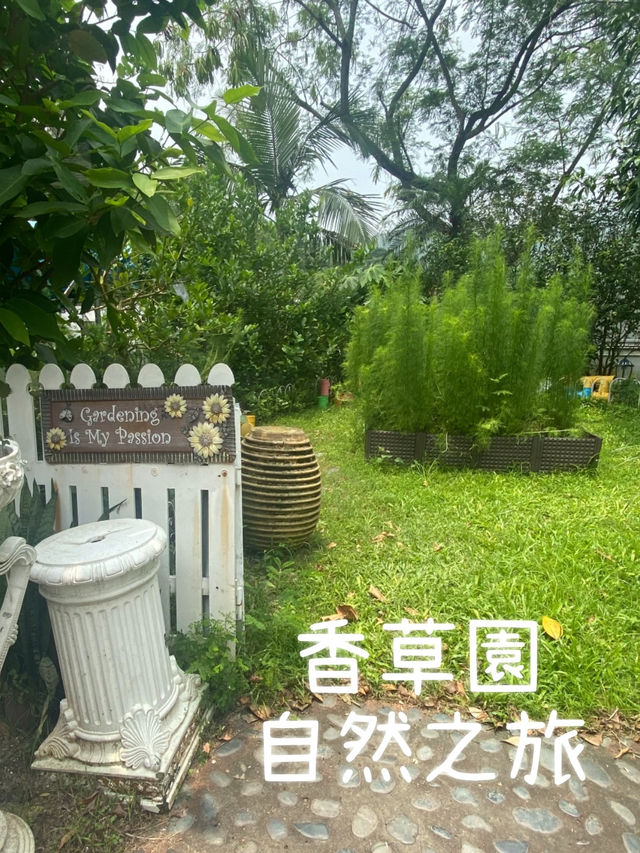 酒店內的香草園 🤍 散發迷人自然氣息