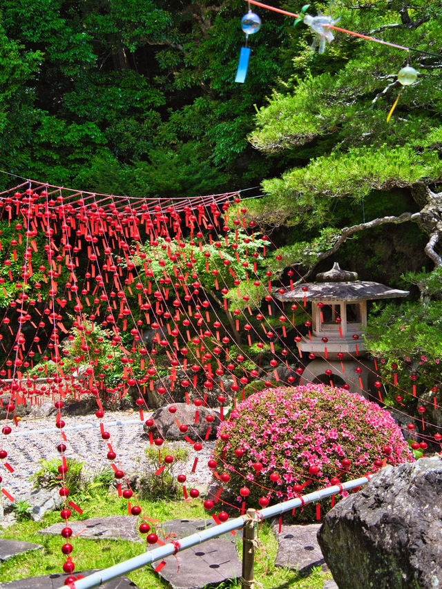 【静岡】期間限定‼️無料⁉️カラフルな風鈴で映えを狙え📸日本一大きい木造のあれも