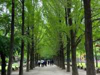 Nami Island