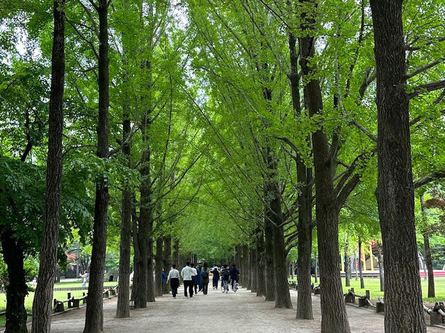 Nami Island