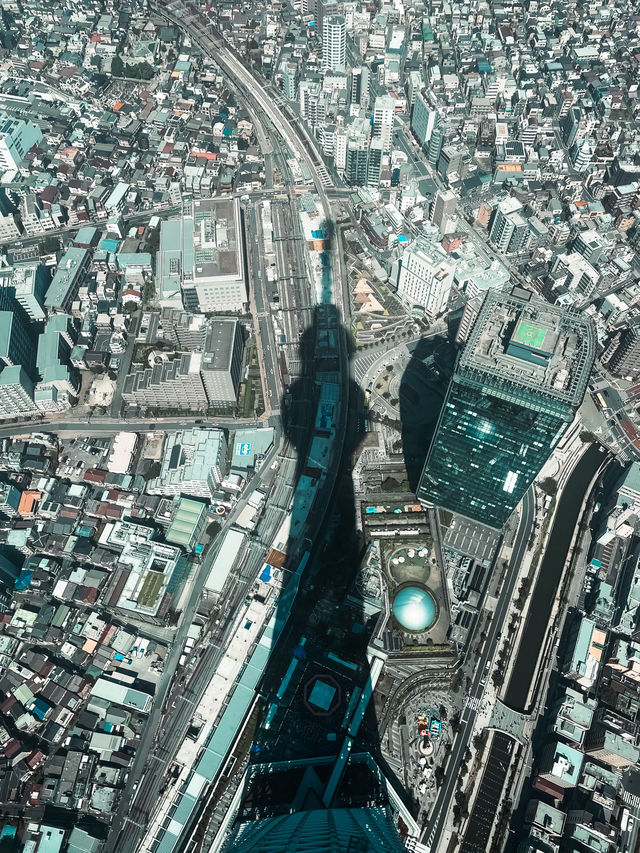 Tallest Tower in Tokyo