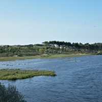 「Seaton Wetlands」：觀鳥天堂