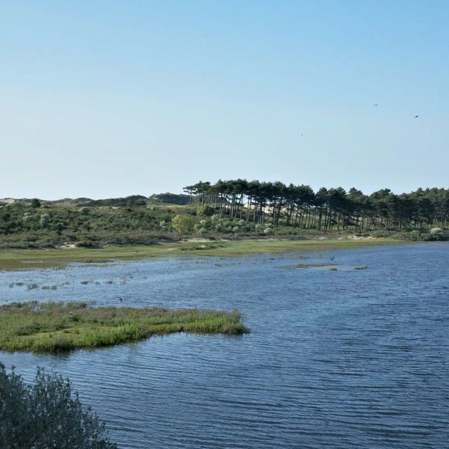 「Seaton Wetlands」：觀鳥天堂