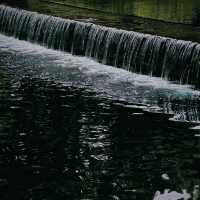 「下賀茂熱帶植物園：熱帶雨林奇景，原始自然之旅」