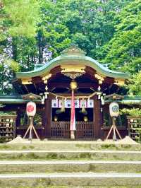 〜京都府〜混まない！初夏の夏詣におすすめ神社⛩️