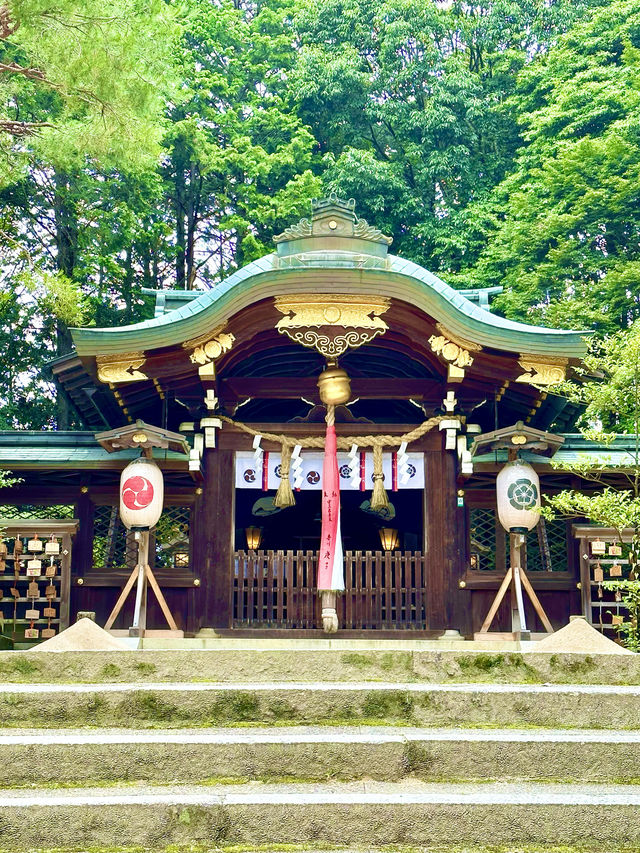 〜京都府〜混まない！初夏の夏詣におすすめ神社⛩️