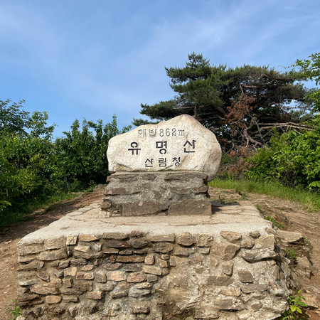 유명산 정상 표석과 주변 나무 풍경