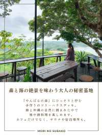 沖縄のやんばるの森を進むと見えてくる、秘密基地🌱