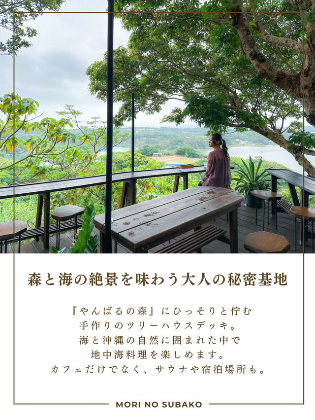 沖縄のやんばるの森を進むと見えてくる、秘密基地🌱