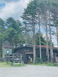 【長野県/諏訪市　夏でも涼しい霧ヶ峰に咲く黄色い花”ニッコウキスゲ”】