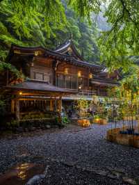 初日に行っちゃダメ『貴船神社』七夕笹飾りライトアップが開催中7/1~8/16まで🎋