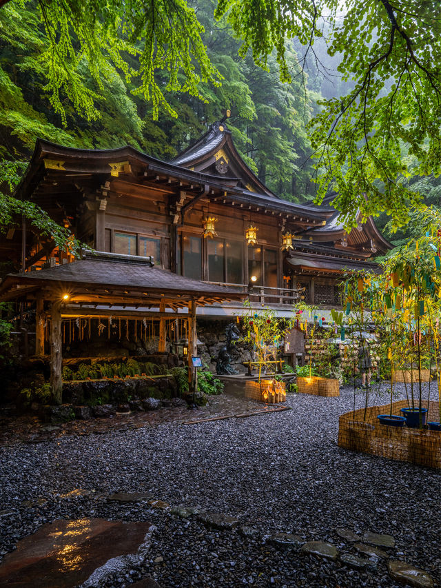 初日に行っちゃダメ『貴船神社』七夕笹飾りライトアップが開催中7/1~8/16まで🎋