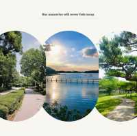 「青羅中央湖公園」湖光山色～感受大自然韻味
