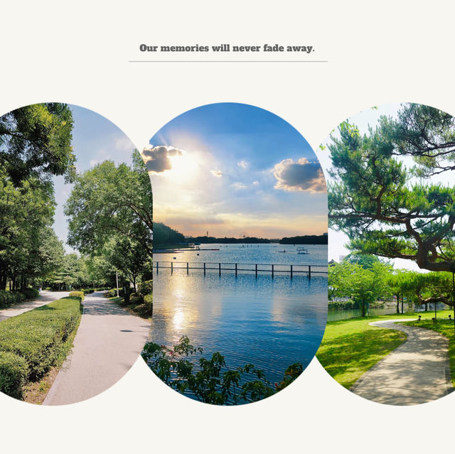 「青羅中央湖公園」湖光山色～感受大自然韻味