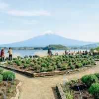 Oishi Park 