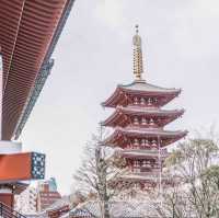 Tokyo Unveiled: Where Tradition Meets Innovation