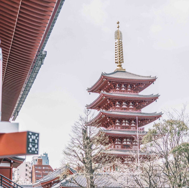Tokyo Unveiled: Where Tradition Meets Innovation