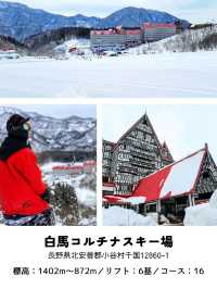 【長野】スキー場「白馬エリア」おすすめ 5選