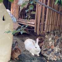 #ที่พัก บ้านอ้อมกอดขุนเขา ที่เที่ยวสวนผึ้ง ราชบุรี
