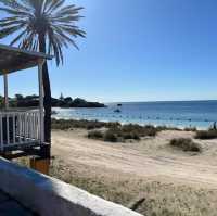 Island Oasis: Rottnest Island Getaway