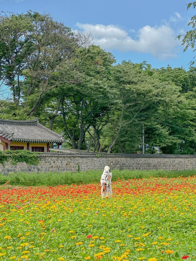 강아지도 아이도 모두가 만족스러울 경주 2박 3일 애개여행💗 