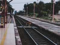 🚞🚞ถ่ายรูปสวยๆที่ @สถานีรถไฟหัวหิน