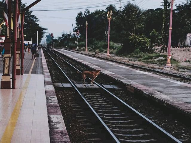 🚞🚞ถ่ายรูปสวยๆที่ @สถานีรถไฟหัวหิน