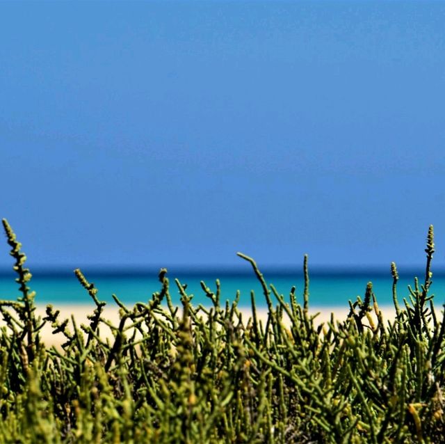 A popular summer beach