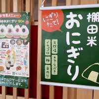 【能登半島】白米千枚田