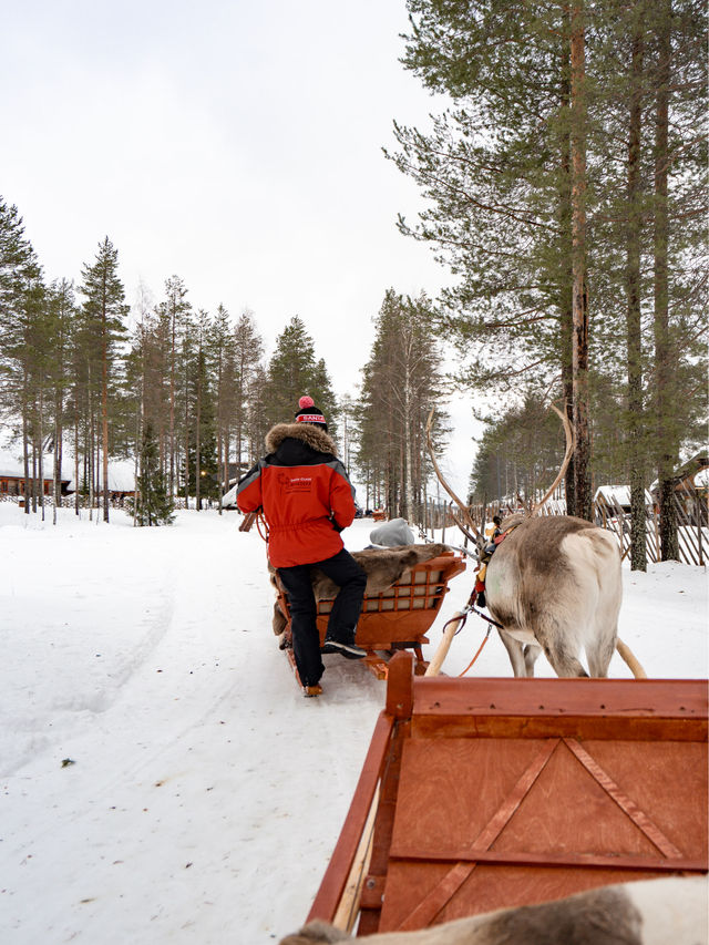 📍Santa Claus Reindeer