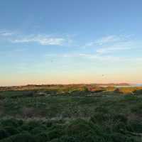 Mesmerizing March of the Penguins: A Phillip Island Adventure