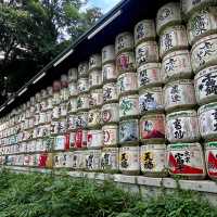 Discover Serenity at Meiji Jingu Shrine! 🌿⛩️