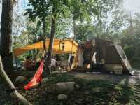 Butterfly Camping