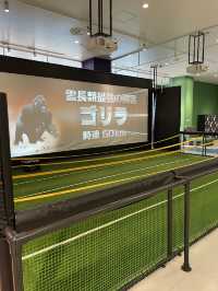 兵庫　3月オープン❗️雨の日も楽しめるスポーツ商業施設⚽️🏟️