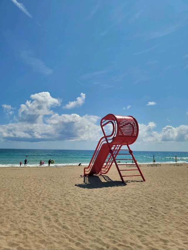 해외부럽지 않았던 포항 화진해수욕장🏖