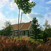 🏡 บ้านหลังน้อยท่ามกลางสวนดอกไม้ 